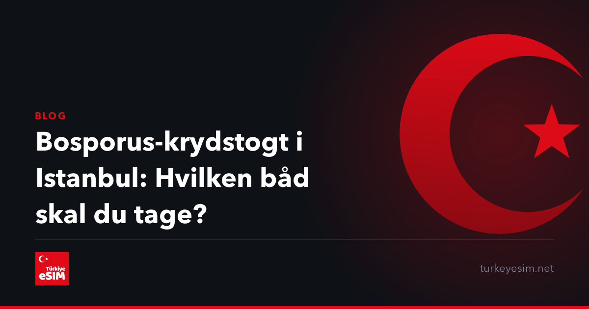 Bosporus-krydstogt i Istanbul: Hvilken båd skal du tage?