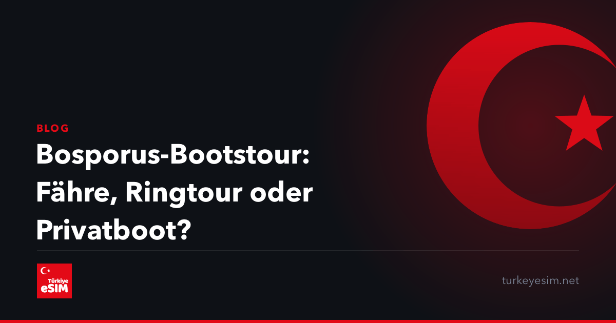 Bosporus-Bootstour: Fähre, Ringtour oder Privatboot?
