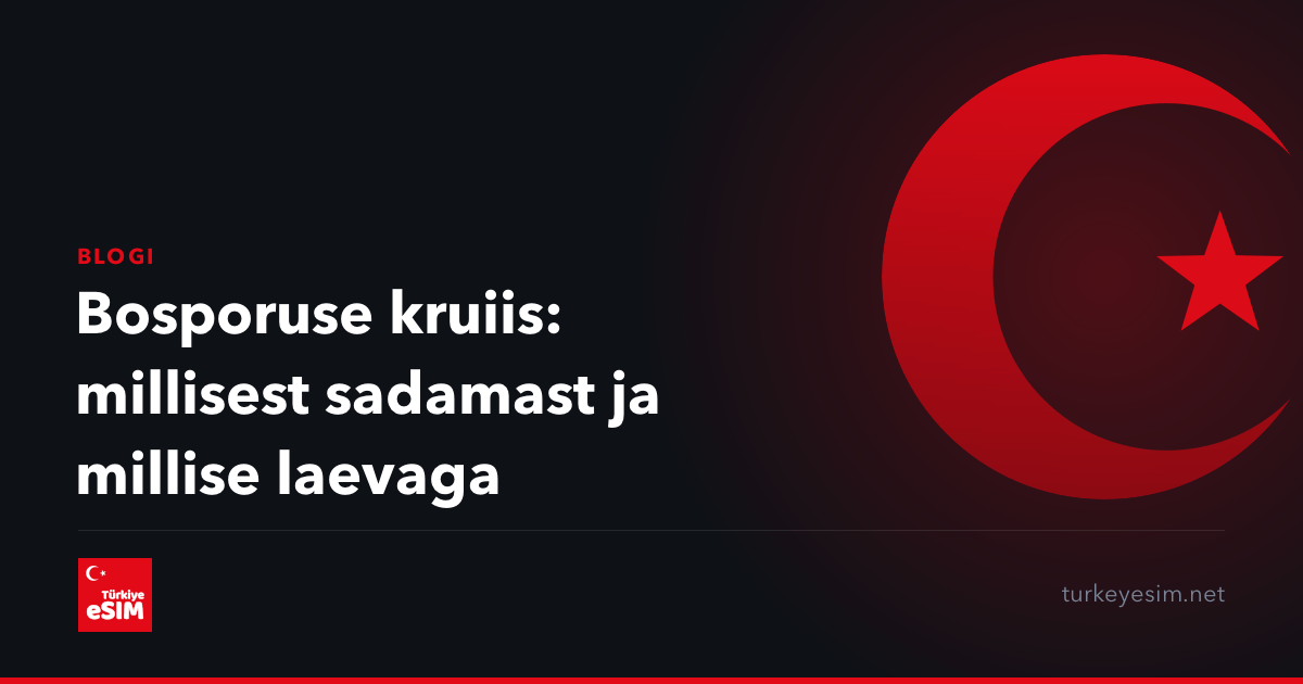 Bosporuse kruiis: millisest sadamast ja millise laevaga