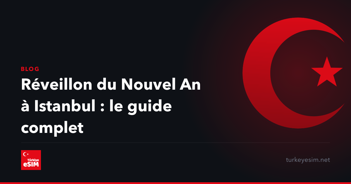 Réveillon du Nouvel An à Istanbul : le guide complet