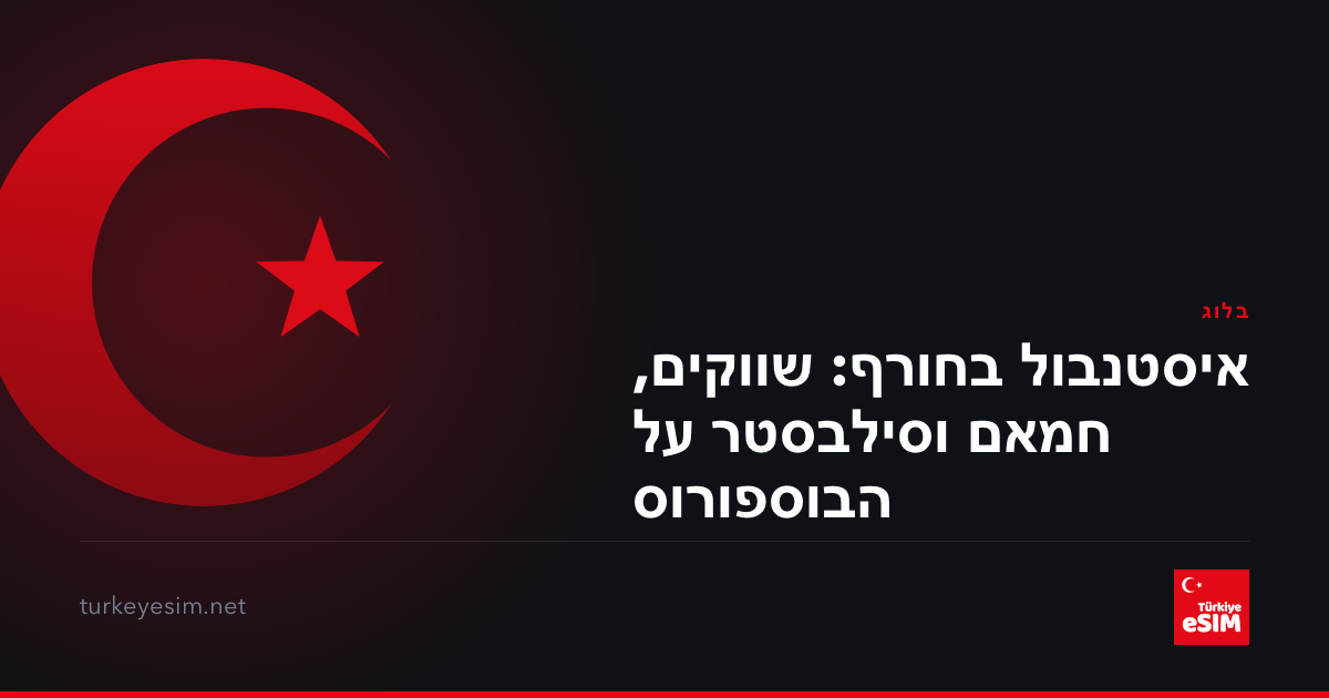 איסטנבול בחורף: שווקים, חמאם וסילבסטר על הבוספורוס
