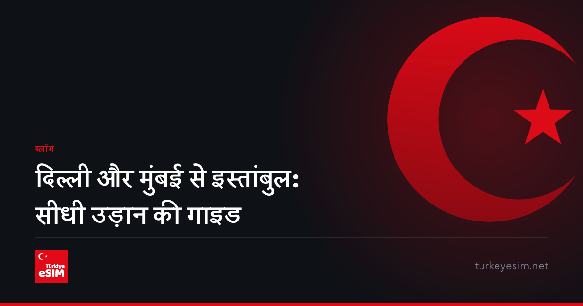 दिल्ली और मुंबई से इस्तांबुल: सीधी उड़ान की गाइड