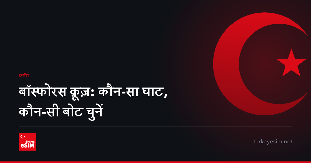 बॉस्फोरस क्रूज़: कौन-सा घाट, कौन-सी बोट चुनें