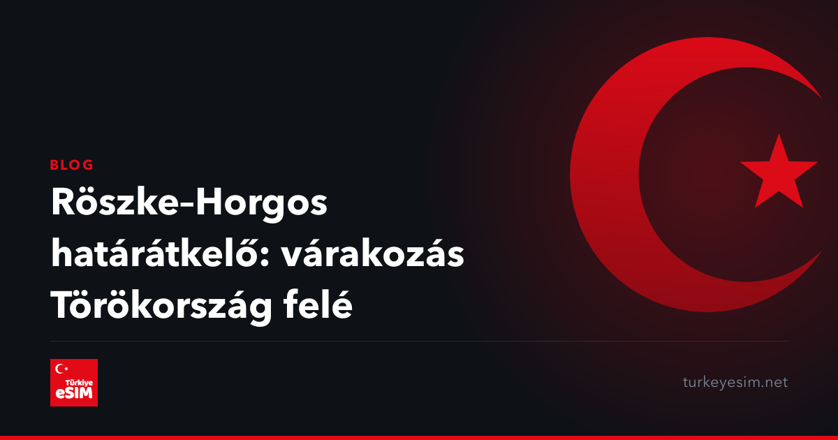 Röszke–Horgos határátkelő: várakozás Törökország felé