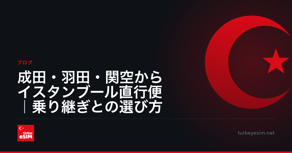 成田・羽田・関空からイスタンブール直行便｜乗り継ぎとの選び方