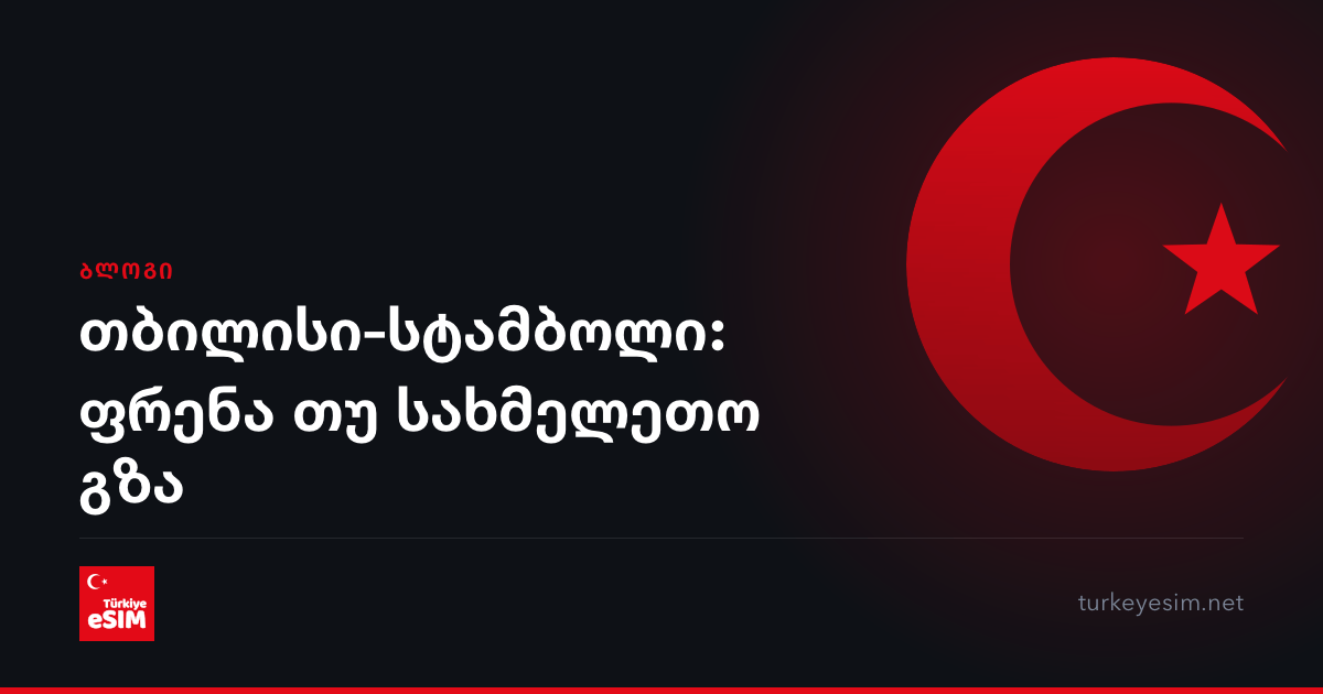თბილისი–სტამბოლი: ფრენა თუ სახმელეთო გზა