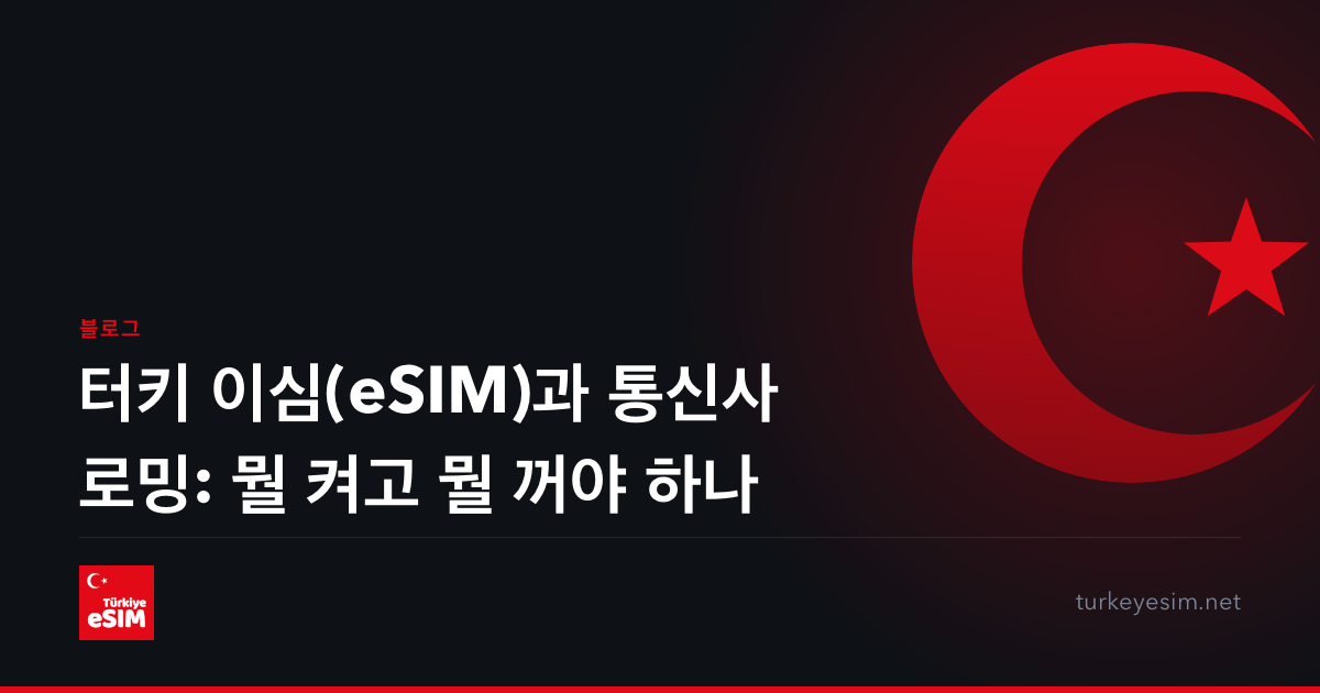 터키 이심(eSIM)과 통신사 로밍: 뭘 켜고 뭘 꺼야 하나
