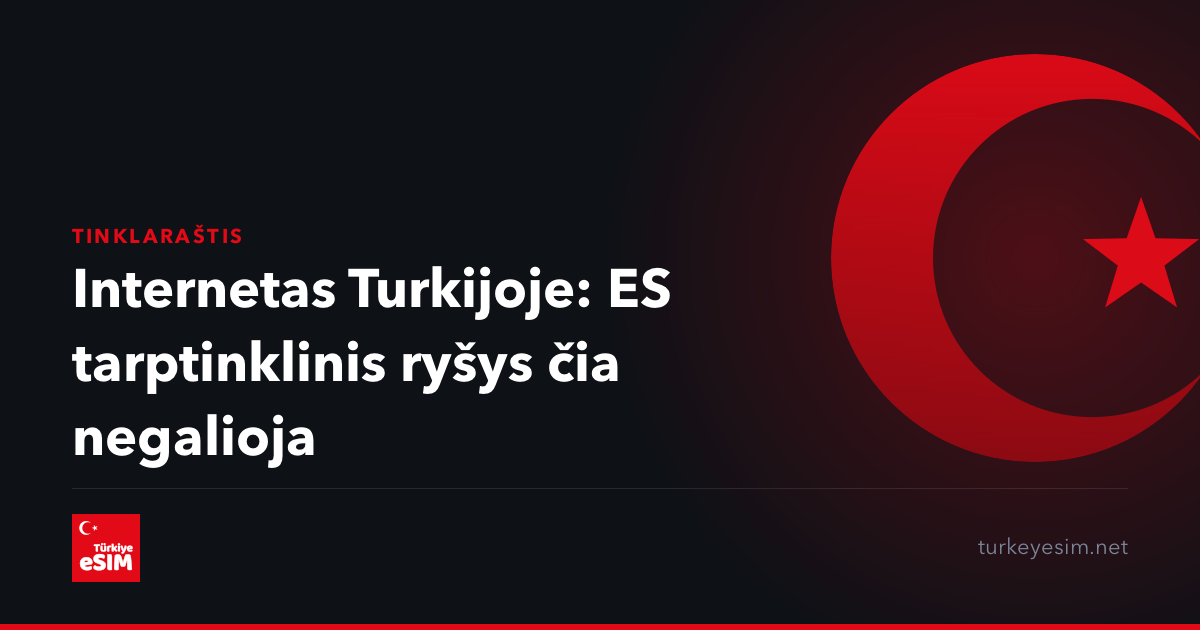 Internetas Turkijoje: ES tarptinklinis ryšys čia negalioja