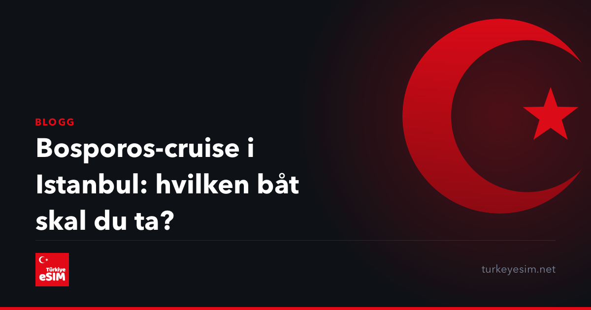 Bosporos-cruise i Istanbul: hvilken båt skal du ta?