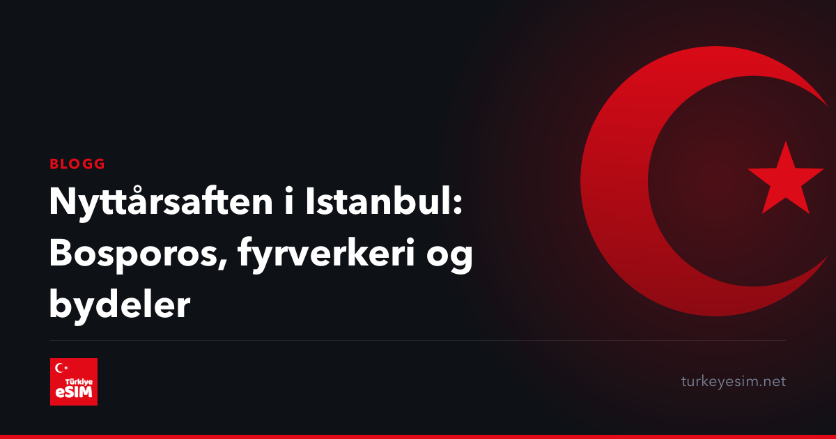 Nyttårsaften i Istanbul: Bosporos, fyrverkeri og bydeler