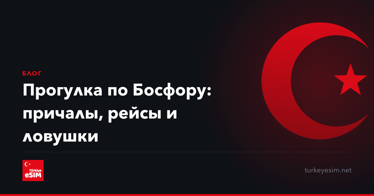 Прогулка по Босфору: причалы, рейсы и ловушки