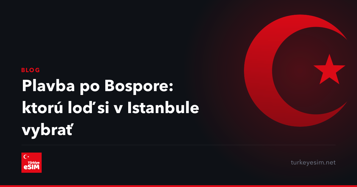 Plavba po Bospore: ktorú loď si v Istanbule vybrať
