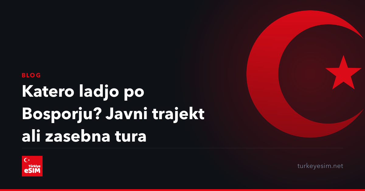 Katero ladjo po Bosporju? Javni trajekt ali zasebna tura