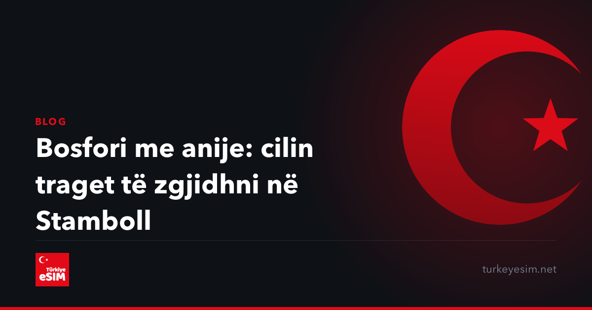 Bosfori me anije: cilin traget të zgjidhni në Stamboll