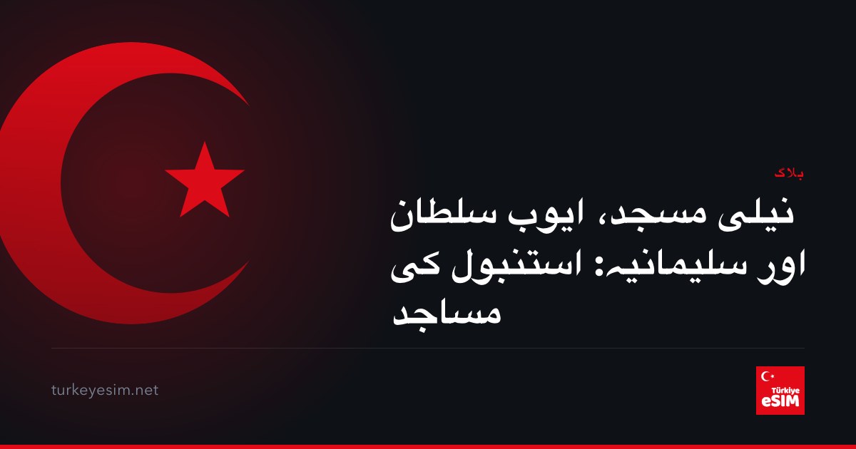 نیلی مسجد، ایوب سلطان اور سلیمانیہ: استنبول کی مساجد