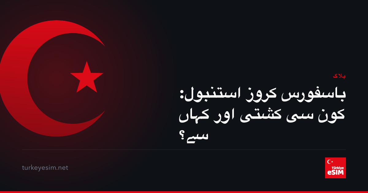 باسفورس کروز استنبول: کون سی کشتی اور کہاں سے؟