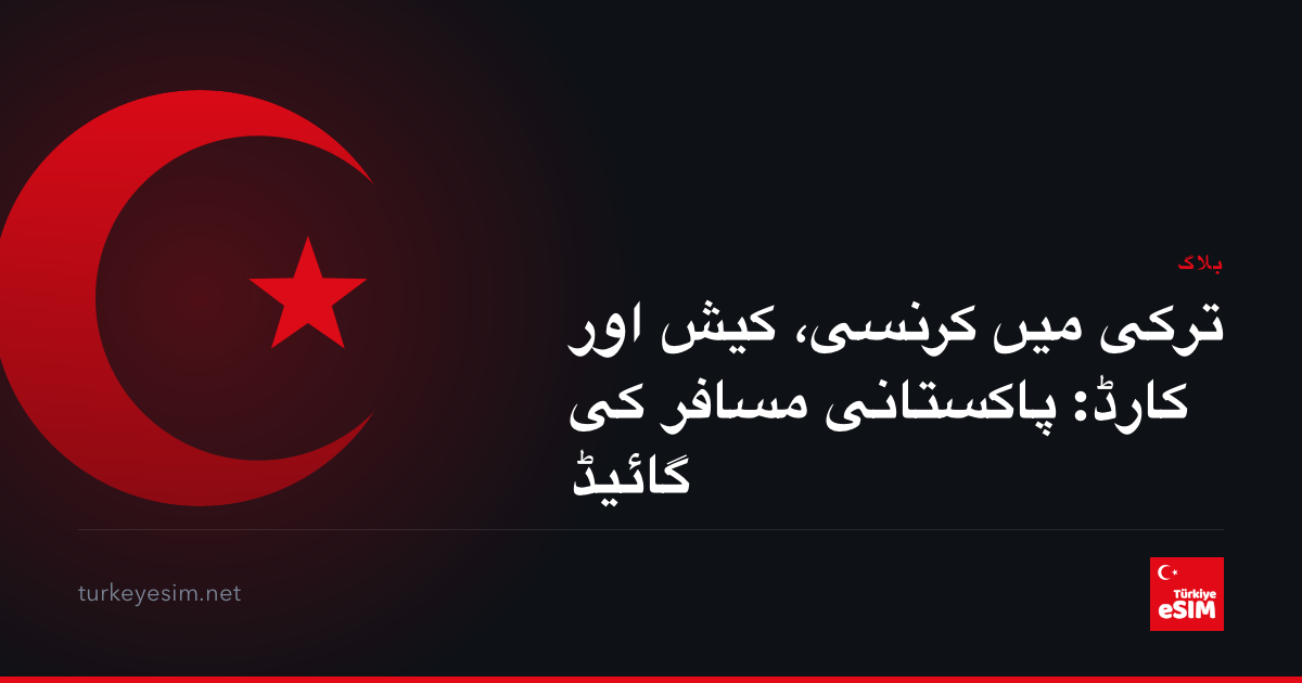 ترکی میں کرنسی، کیش اور کارڈ: پاکستانی مسافر کی گائیڈ