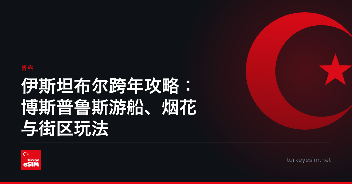伊斯坦布尔跨年攻略：博斯普鲁斯游船、烟花与街区玩法