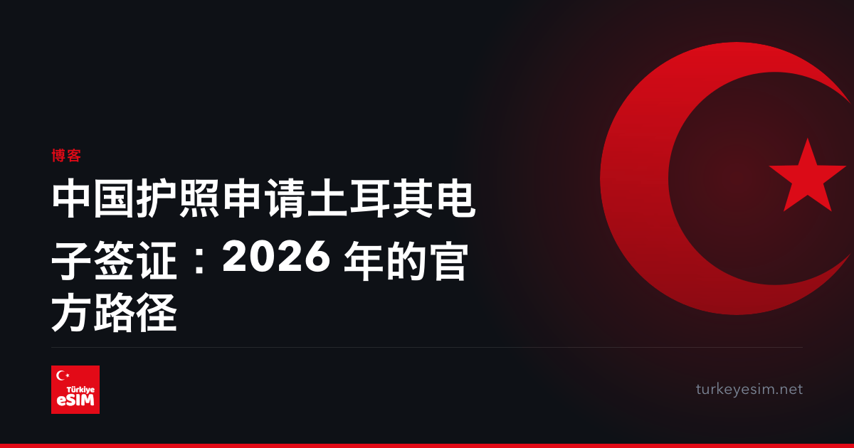 中国护照申请土耳其电子签证：2026 年的官方路径
